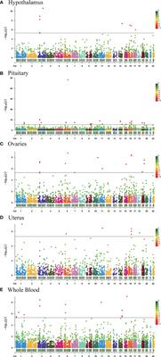 Identifying Environmental Endocrine Disruptors Associated With the Age at Menarche by Integrating a Transcriptome-Wide Association Study With Chemical-Gene-Interaction Analysis
